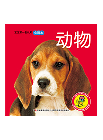 动物